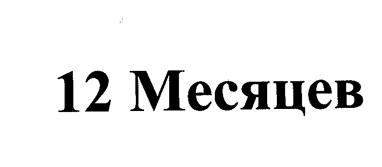 Товарный знак № 24423 «12 Месяцев»