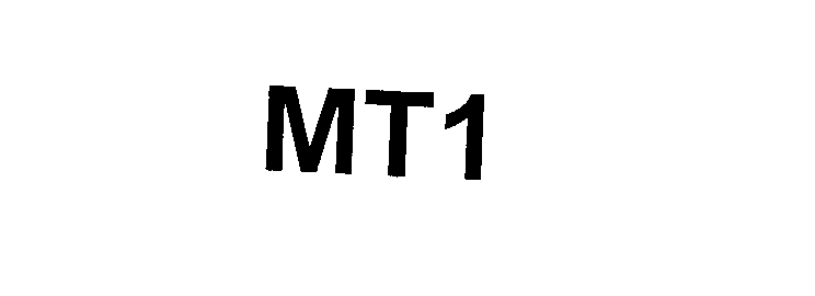 Товарный знак № 24932 «МТ1»