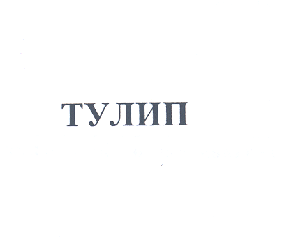 Товарный знак № 25071 «ТУЛИП»