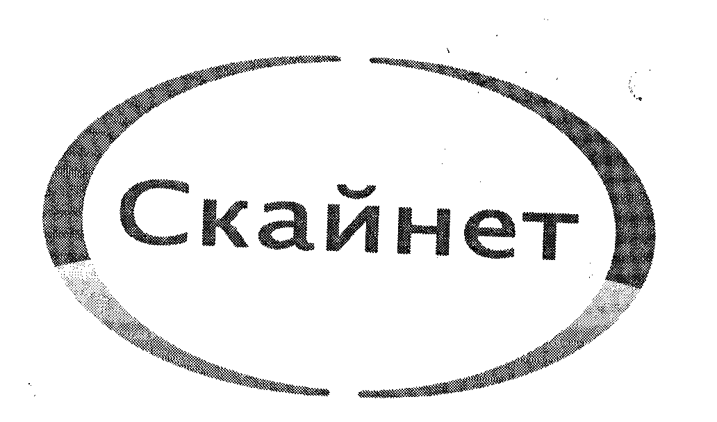 Товарный знак № 28657 «СКАЙНЕТ»