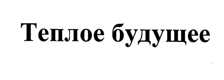 Товарный знак № 29289 «ТЕПЛОЕ БУДУЩЕЕ»
