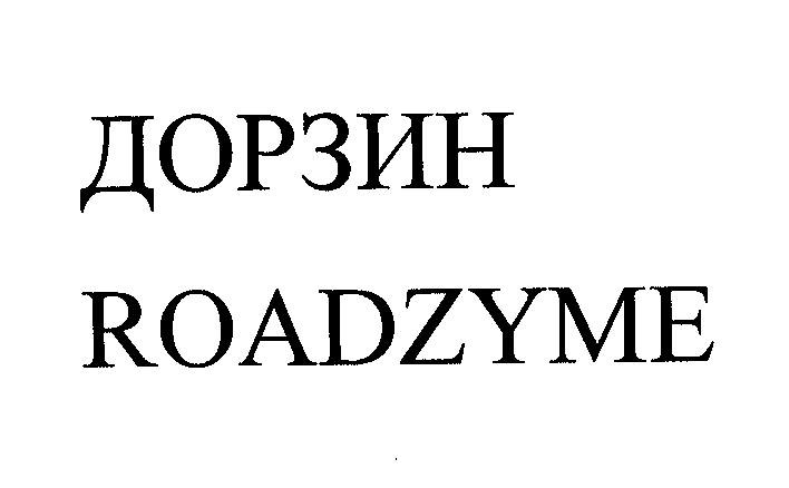 Товарный знак № 29702 «ДОРЗИН RОАDZYМЕ»