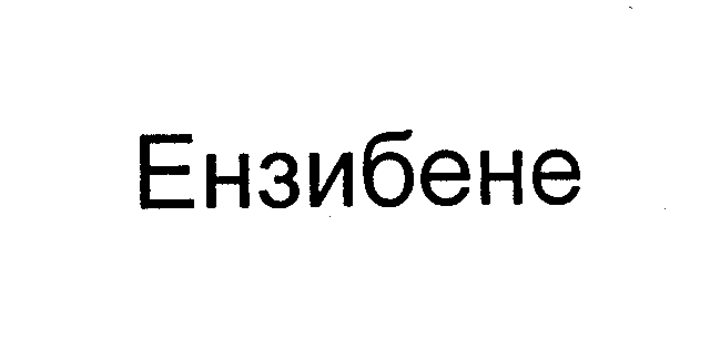 Товарный знак № 29324 «ЕНЗИБЕНЕ»