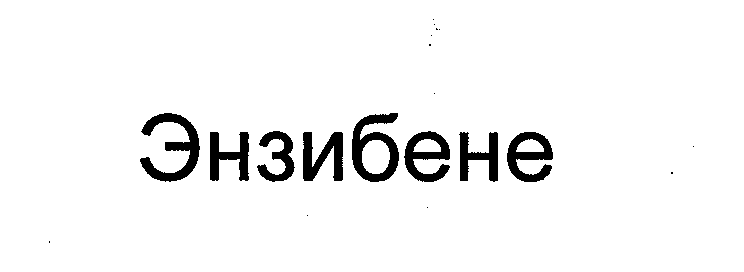 Товарный знак № 29325 «ЭНЗИБЕНЕ»