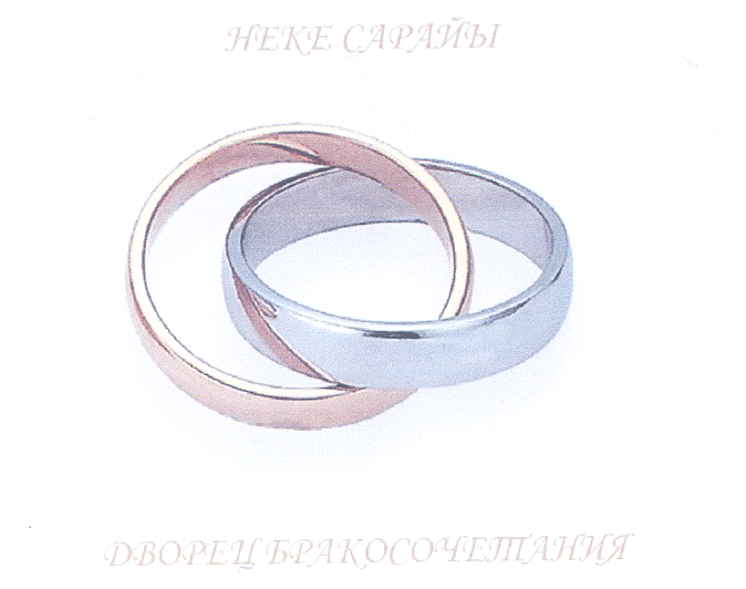 Товарный знак № 35753 «ДВОРЕЦ БРАКОСОЧЕТАНИЙ НЕКЕ САРАЙЫ»