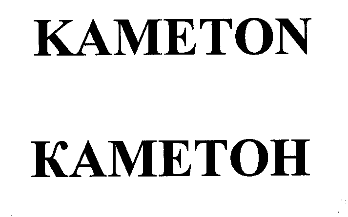 Товарный знак № 29395 «КАМЕТОN КАМЕТОН»