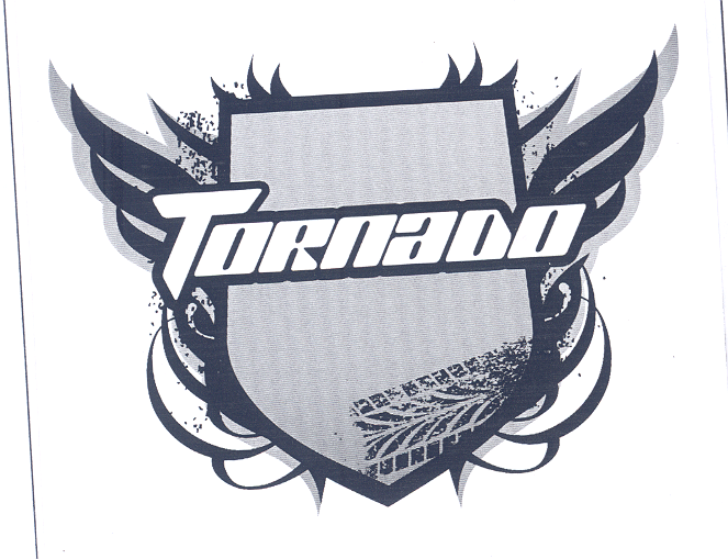 Товарный знак № 31216
