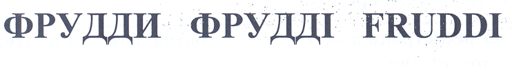 Товарный знак № 34031 «ФРУДДИ ФРУДДI FRUDDI»
