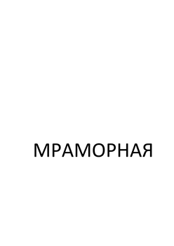 Товарный знак № 