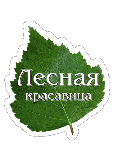 Изображение: Заявка № 163214